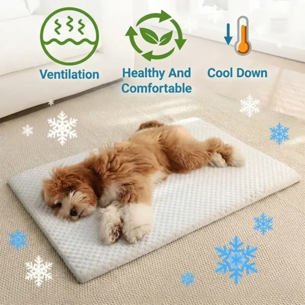 Washable Cooling Small Dog Bed